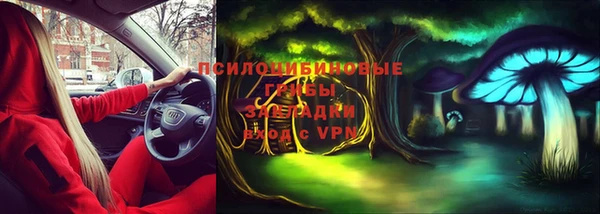 сатива Арсеньев