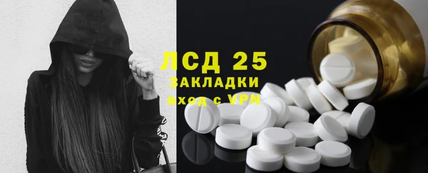 ПСИЛОЦИБИНОВЫЕ ГРИБЫ Алзамай
