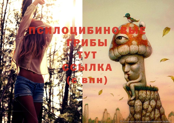 ПСИЛОЦИБИНОВЫЕ ГРИБЫ Алзамай